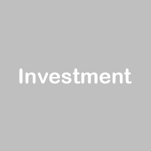 investment